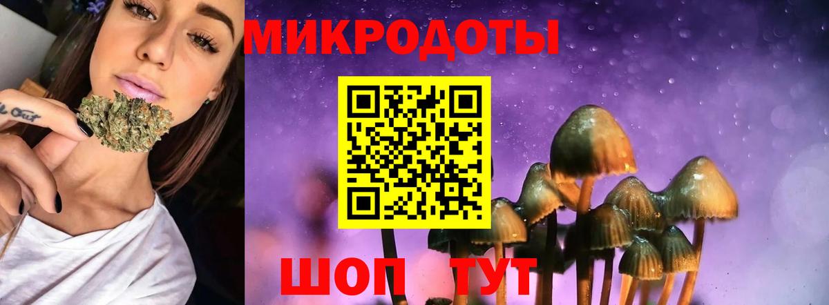 Альфа ПВП Каспийск